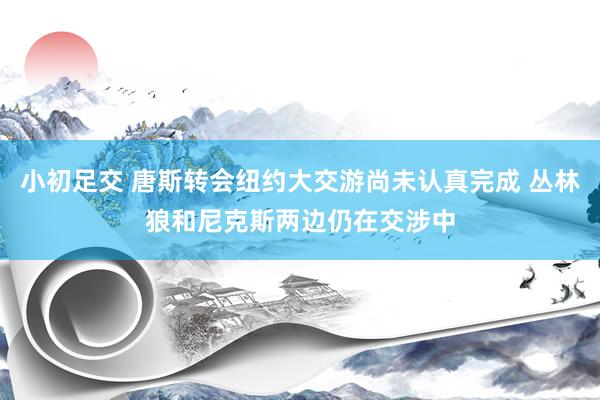 小初足交 唐斯转会纽约大交游尚未认真完成 丛林狼和尼克斯两边仍在交涉中
