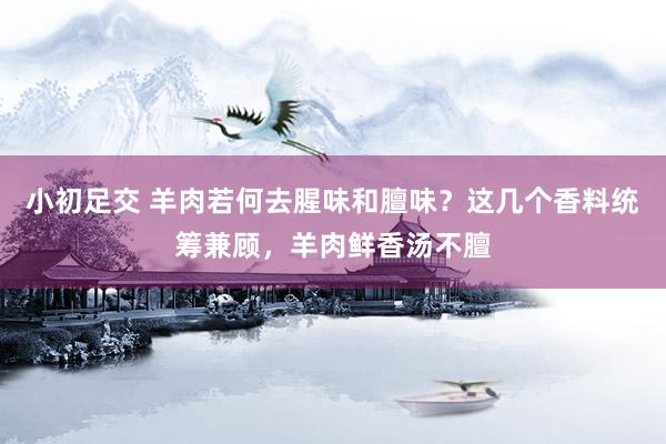 小初足交 羊肉若何去腥味和膻味？这几个香料统筹兼顾，羊肉鲜香汤不膻