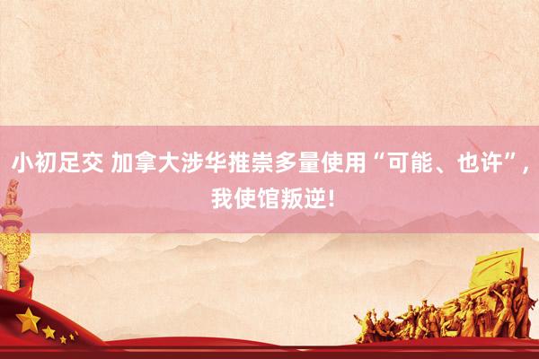 小初足交 加拿大涉华推崇多量使用“可能、也许”， 我使馆叛逆!